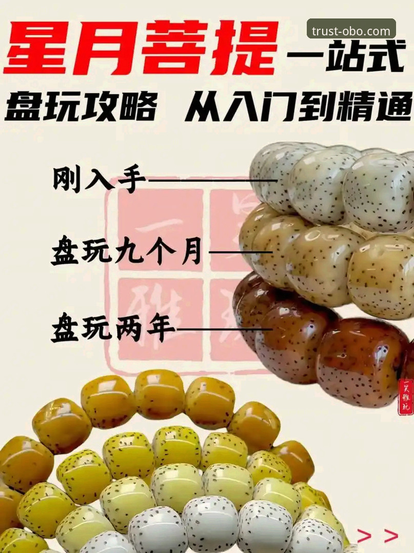 欧博全球玩家如何轻松上手？新手必看的操作指南与平台对比解析